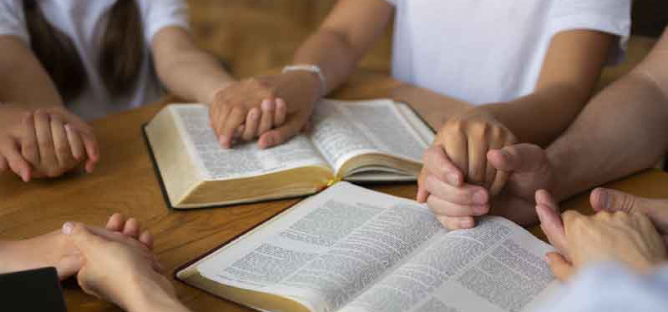 Module 1 : Le Fondement Primaire